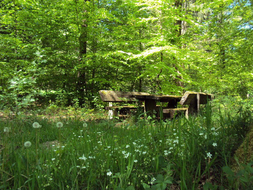 mouzon entre meuse et chier1980.jpg